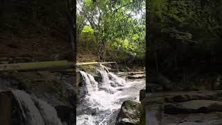 Bica do Bigode - DE CABO A DENTRO COM ABIDORAL