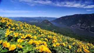 Matthew's Message: Obama, Malaysian Plane, Ukraine, Golden Age, etc - August 3, 2014