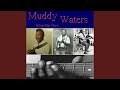 Cold Weather Blues - Muddy Waters - Topic Cold Weather Blues