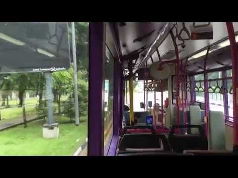[SBS Transit] Scania K230UB Gemilang Demonstrator | SBS8033D on 256
