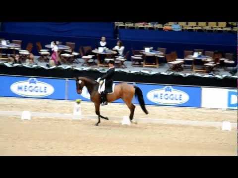 Hendrik Lochthowe und Meggle's Shogun