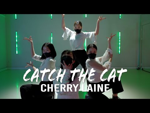 Cherry Laine  -  Catch The Cat l K LEE Choreography