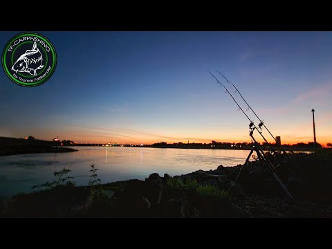 Karpfenangeln VTB 134 - Eine Nacht am Rhein