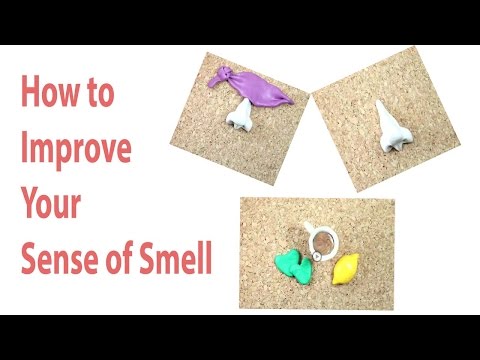How to Improve Your Sense of Smell | How to better your sense of smell