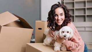 complete guide for moving with pets in Biggera Water