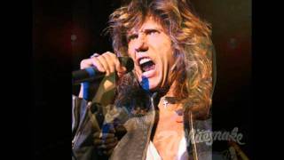 WHITESNAKE - Don't Break My Heart Again.