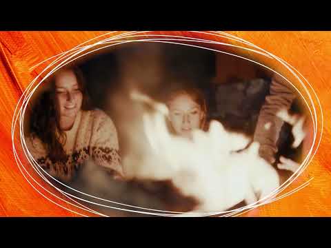 Northern Woods Summit  - An invitation to collective imagining