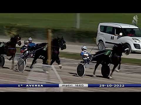 Aversa trotto 29 Ottobre 2022 - 1° Corsa