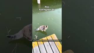 Download lagu Kucing dan Air yang buat kocak #cat #kucinglucuterbaru #funny #catlover #pecintakucinglucu #kucing mp3