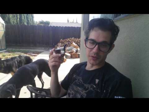 Relaxing Sunday with my Brebbia