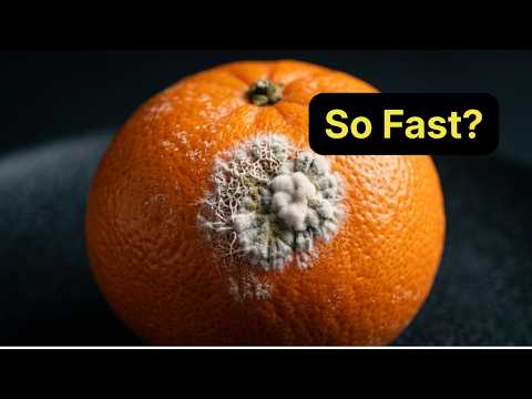 Oranges With Green Spots