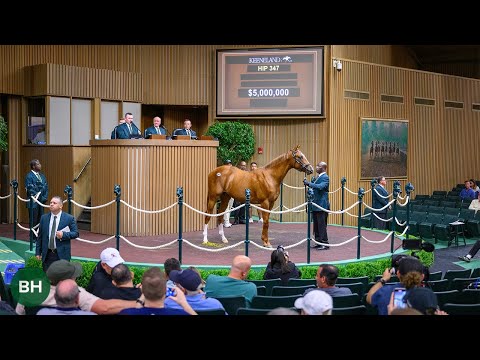 Curlin Power Delivers $5 Million Colt at Keeneland September Yearling