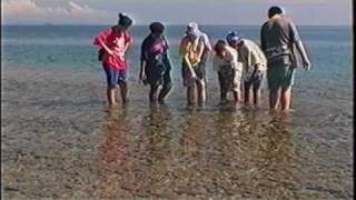 preview picture of video 'Kimbe Bay: Marine Research & Conservation, Papua New Guinea'