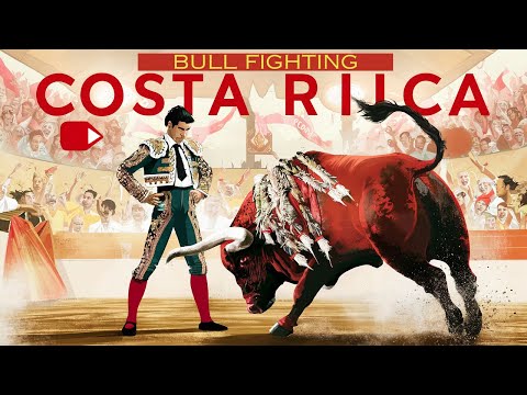 Bull fighting in Costa Rica