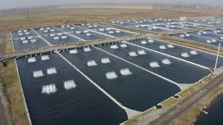 Ինդեքս 28.02.2022