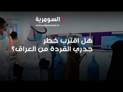 شاهد بالفيديو.. هل اقترب خطر جدري القردة من العراق؟