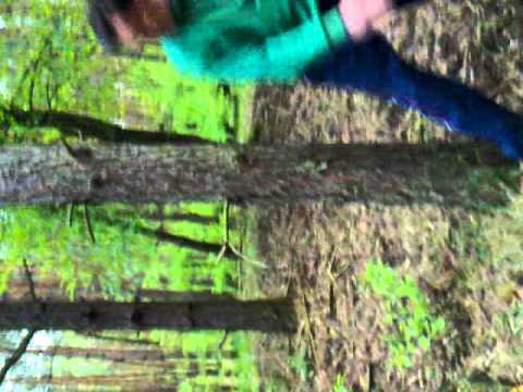 chojna laguna vs pudzian w lesie