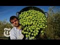 Mediterranean Diet Has Huge Health Benefits, New Study Finds | The New Y...