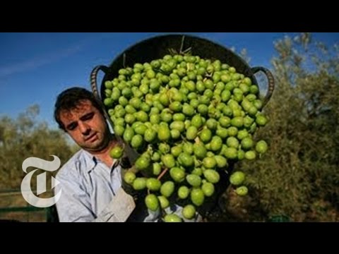 Mediterranean Diet Has Huge Health Benefits, New Study Finds | The New York Times Video