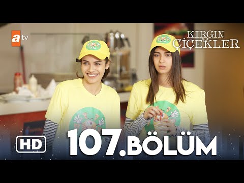 Kırgın Çiçekler 107. Bölüm | HD