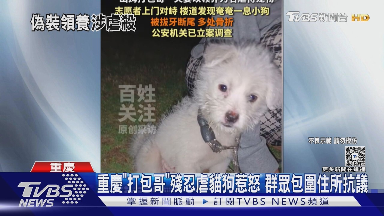 影音/重慶「打包哥」殘忍虐貓狗惹眾怒 群眾包圍住所抗議