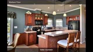 preview picture of video 'The Valor Model Home at Riverside Club, A Solstice 55+ Community in Florida'