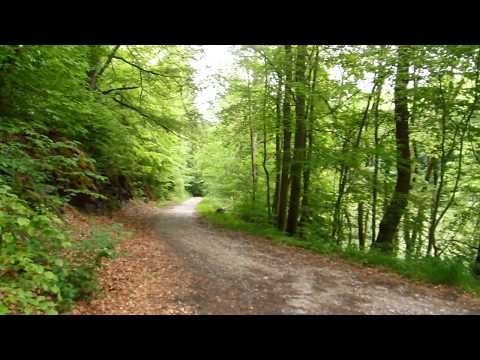 Stempelstelle 87 Volkmars Keller - Harzer Wandernadel