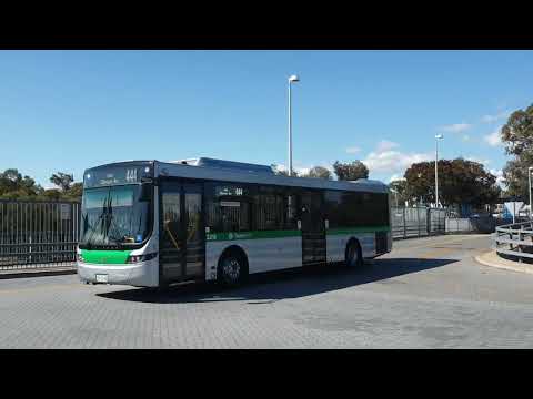 Transperth 3216 arriving at Warwick Station