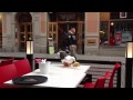 Seagull Pizza Hut Stockholm