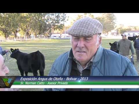 Cabañasbovinas.com - Exposición Angus de Otoño 2013 - Sr. Norman Catto