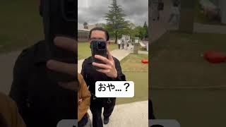 おや…？ #movie #music #shortvideo #shorts #short #art #animation #musica #travel # #夫婦 #日常 #面白い #旅行 #観光