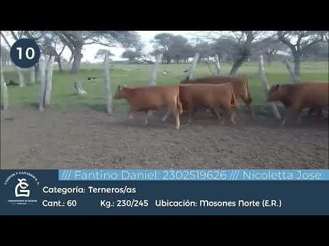 Lote M Y H - Mojones Norte E Rios