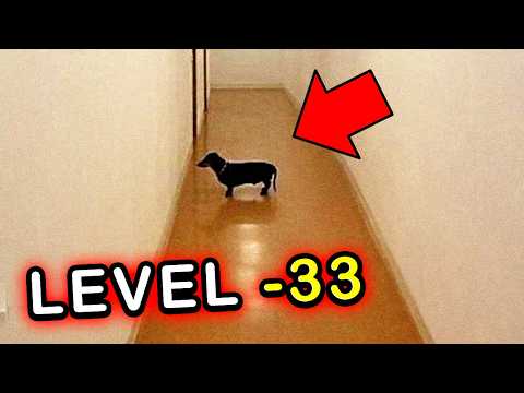 Top 5 SAFE Backrooms Levels with NO DANGER, NO Entities...just vibes