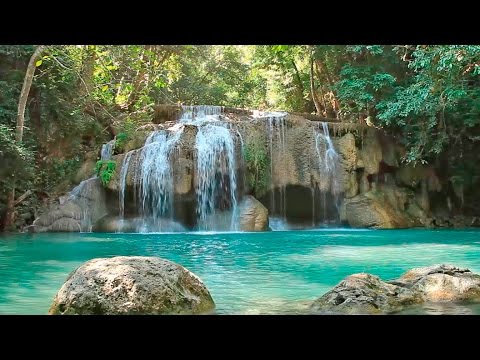 Musique Zen - Méditation Relaxation - Musique Relaxante