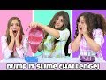 Dump It Slime Challenge - Valentine's Slime Edition! Dump It Slime Challenge - Valentine's Slime Edition!