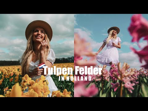 Tulpen Felder in den Niederlanden II Holland Urlaub Vlog