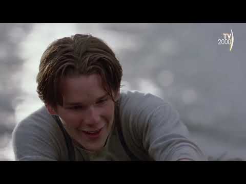 Zanna Bianca, Un Piccolo Grande Lupo [Zanna Bianca ritorna a fidarsi degli uomini]