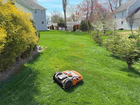 WORX Landroid L Robotic Lawn Mower 4 Year Review with Tips