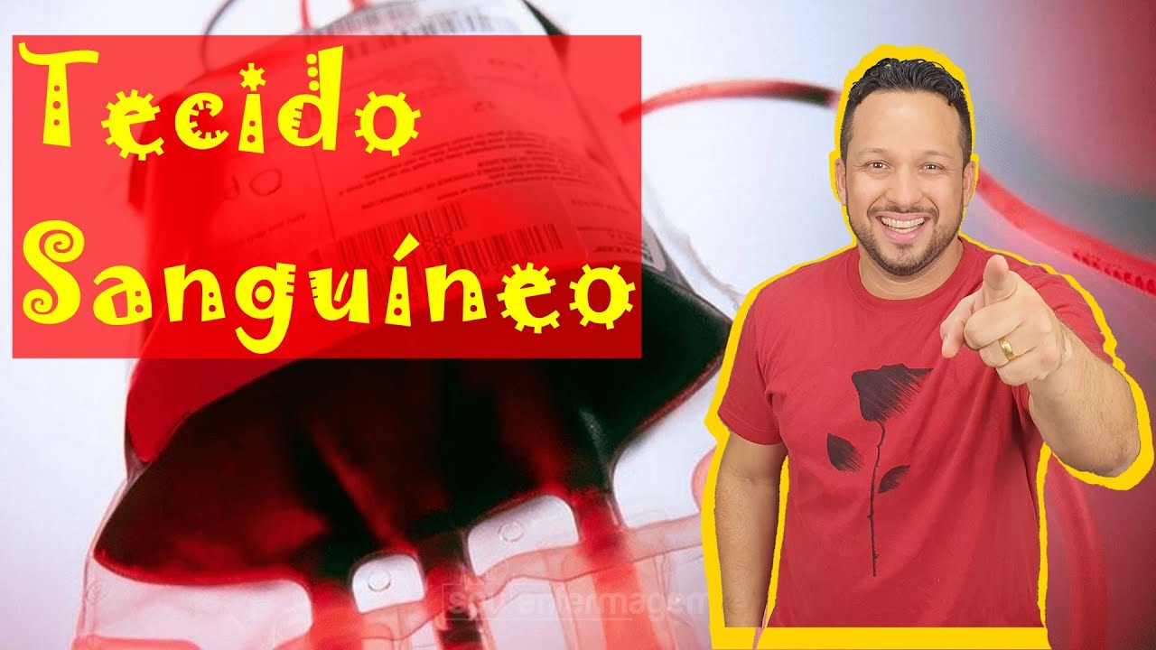 Tecido Sanguíneo - Características Gerais e Funções - Tecidos Conjuntivos - Histologia Animal