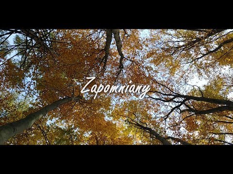 StyKS - Zapomniany, prod. Fridolf (Official video)