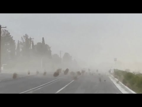 Incredible footage sees tumbleweeds overtake Utah