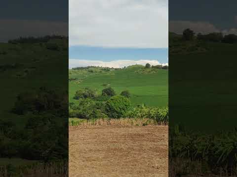 Um Lugar Maravilhoso No Destrito Do Loirinha Barbosa Ferraz PR