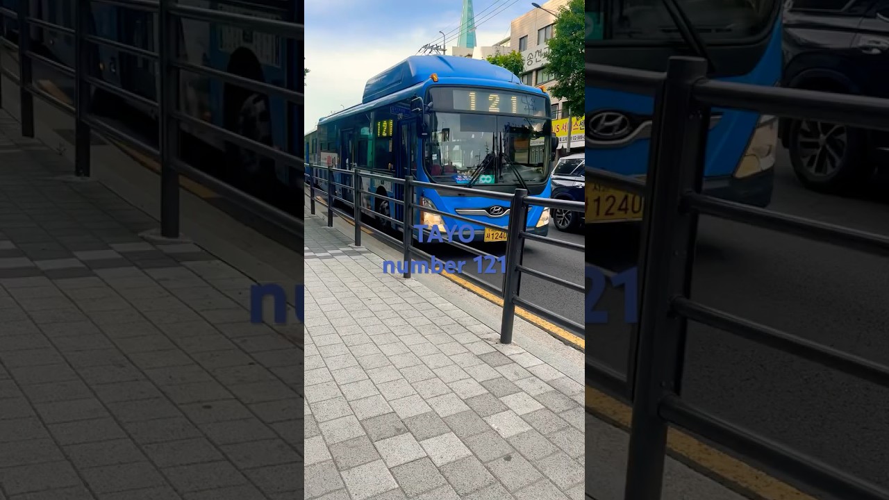 121 Tayo Bus with 1 bigger than 120 Tayo! #tayo #bus #automobile