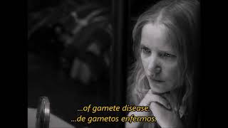 Damien Rice | The Professor &amp; La fille Danse [Subtitulada al español]