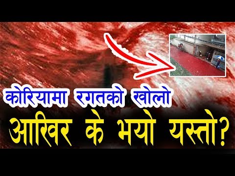 प्रधानमन्त्री KP sharma Oli  र संचारमन्त्री Gokul Baskota विरुद्ध अख्तियारमा उजुरी, BBCNEws