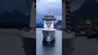MSC SEAVIEW cruise  ship navio cruzeiro transatlantico  santos brasil @cruzeiros2025  #shorts