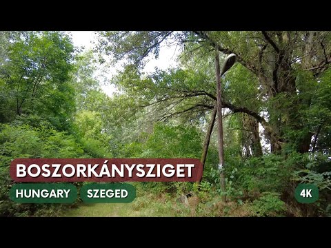 Szeged - Boszorkánysziget - Walking in Hungary