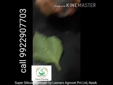 Super Silicon Spreader