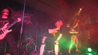 Video Bradi Cerebri Ectomia - Beltway Sniper (10.04.2015 Live in Gomel