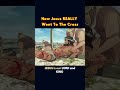 How Jesus REALLY Went To The Cross Shorts Youtube Newtestament Jesus Bible Fypシ